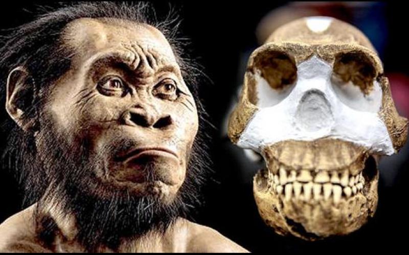 Kiumbe hicho kina mikono na miguu kama ya binadamu, ingawa maungo yake ni makubwa.